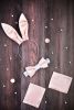 Еротичний костюм кролика PlayBoy для рольових ігор 0736